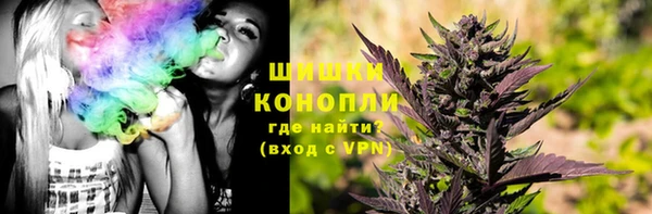 гашик Инсар