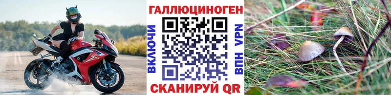 мега tor Карталы Псилоцибиновые грибы прущие грибы цена наркотик